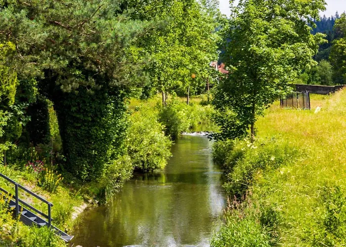 公寓 An Der Wilden Rodach *